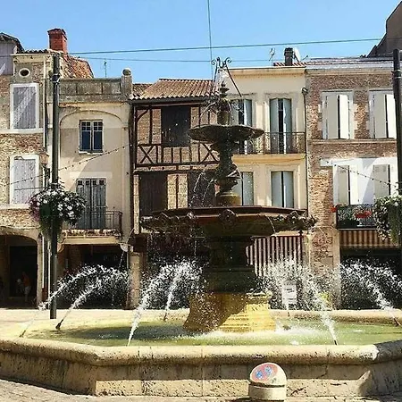 Villeneuvecitystay - Tropical & Studio Chic Villeneuve-sur-Lot